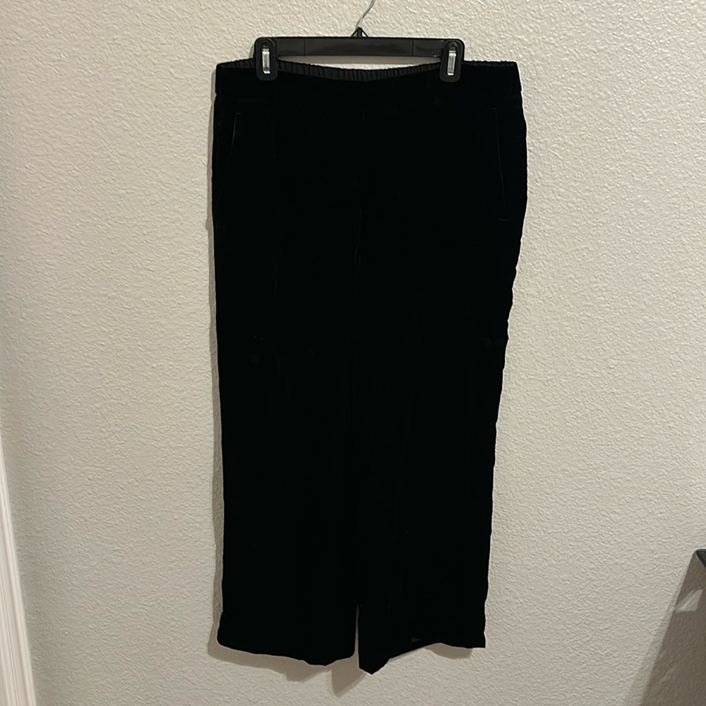 J Crew velvet pants. Size L/LX